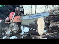 Husqvarna 385xp - Vic’s Yard #firewood #spalting