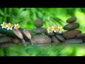 Beautiful Relaxing Music Stress Relief🌼Soothing Music With Nature Sound & Calm The Mind, Deep Sleep