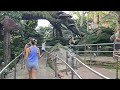 🔴 LIVE: Animal kingdom for Rides and shows at Walt Disney World 8/7/2024