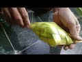 cara mudah membuat cangkang ketupat