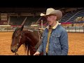 Wild mustang trainer joins WFAA at Fort Worth Stock Show