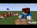 You can’t kill the WITCH… but I can, and with fountains of CAKES(Minecraft Animation)