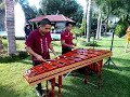 Mi cafetal marimba jarocha Aranzazu