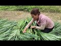 Build a bathroom, make a kitchen door and bring water into the house with bamboo pipes | Ly Tieu Han