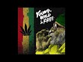 Inner Circle, Wiz Khalifa, Snoop Dogg, Various Artists - Young Wild & Free (Reggae Remix/O.Audio)