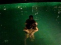 2 seal in the pool lol