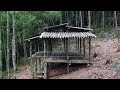 Building a Bamboo House Volume 1 |  Survival Camping |  Living in the Forest