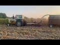 Cutting silage with the Minneapolis Moline G1355