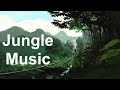 Jungle Music and Jungle Theme Music: TWO Hours of the Best Jungle Drums Music Video