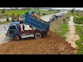 Full Video!! Landfill up Process Fill the soil Use Dozer KOMATSU D31p With Small Dump Trucks 5T