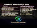 Guaranias Inmortales (1º Parte) - HB ENGANCHADOS MUSICALES