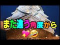 【天守閣へ❣️】美しすぎるライトアップ大阪城と夜桜🌸🥰