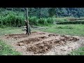 Full Video :  35 Days To Build A Farm Bamboo House, Build A Kitchen, Outdoor Bathroom