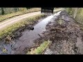 Cleaning the ditch after a beaver visit - Part 2