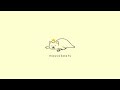 is    non copyright music  massobeats   honey jam  lofi aesthetic music