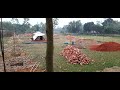 Bangladeshi 🇧🇩 video sharing