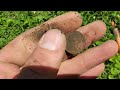 VIRGIN YARD Full of Old Coins Discovered With a Metal Detector in Missouri