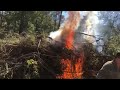 DON’T DO THIS AT HOME //HOW TO BURN BRUSH // HOW TO CLEAR LAND #howtoclearland