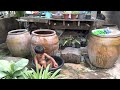 Life in Thailand village