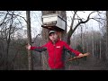 🔵How to catch swarms of honey bees!!