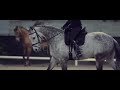 Wake Me Up | Equestrian Music Video