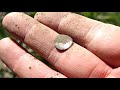 Early Colonial Relics - Metal Detecting Virginia