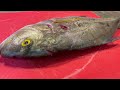 TOXIC Grouper Catch and Cook  - Spearfishing ROI Hawaii