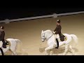 The Spanish Riding School of Vienna 07