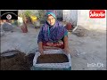 Ghar Me Create Banany Ka Asan Tarika😍🥰kitchen garden official 027#trending #mynewvideo#gardening
