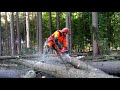 Husqvarna 572XP chain saw  DANGEROUS FELLING!!!PROFESSIONAL WORK!!!