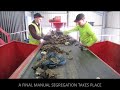 ♻️ WASTE RECYCLING - The sorting & segregation process.♻️