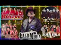 🎺 CORRIDOS NUEVOS 2024 💃 Tigres Del Norte, Rieleros Del Norte, Traileros Del Norte, Ramon Ayala