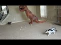 Cats vs Dinosaur???