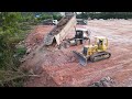 Ep23| Skillfully Komatsu Dozers Pushing Trees To Filling Up Land Project