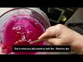 Easy Jelly Cake Recipe | Thermomix Adaptation of a CWA Classic