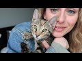 I ADOPTED A KITTEN!!! | Vlog