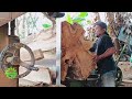 1.5 billion largest teak wood is terrifying! The process of making sultan's house beams is sawmilled