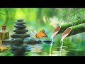 Tranquil Water Piano Music for Deep Relaxation| Heals the Mind, body and Soul | Tranquil Moments