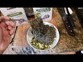 1473. Pesto Black Bean Spaghetti Explore Cuisine Organic Plant Based Protein Pasta Gluten Free