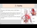 Cardiac System Anatomy And Physiology In Hindi || Cardiovascular System In Urdu || Cardiac Cycle