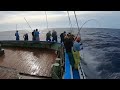 🇯🇵How to Fish for Tuna Pole and Line‼️#fishing #japan #skipjack #tuna #viral #fyp