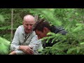 The Curse of Oak Island: Gary Drayton's Brilliant Find (Season 5) | History