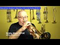 Body and Soul Showdown: Adams A1v2 vs Yamaha Bobby Shew 8310Z II #trumpet #acb (Better Audio)