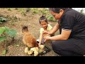 FULL VIDEO:60 days of harvest - bamboo shoots, guava, oranges - for sale | ly tieu tieu