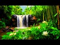 Only nature waterfall sound.🌿💯  Relaxing . Meditation.