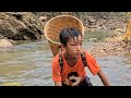 Primitive fish trapping skills highland boy khai set traps to catch stream fish to sell