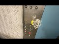 Schindler/MEI Hydraulic Freight Elevator - 789 East Lancaster Avenue - Villanova, PA