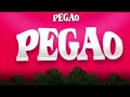 PEGAO 🪩 MAYO 2024 - DjSamubg