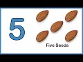 Learn Numbers and Counting 1 to 10 Flashcards | Number Names for Kids