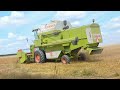 Żniwa 2024 W Akcji New holland 8050 I CLAAS DOMINATOR 78